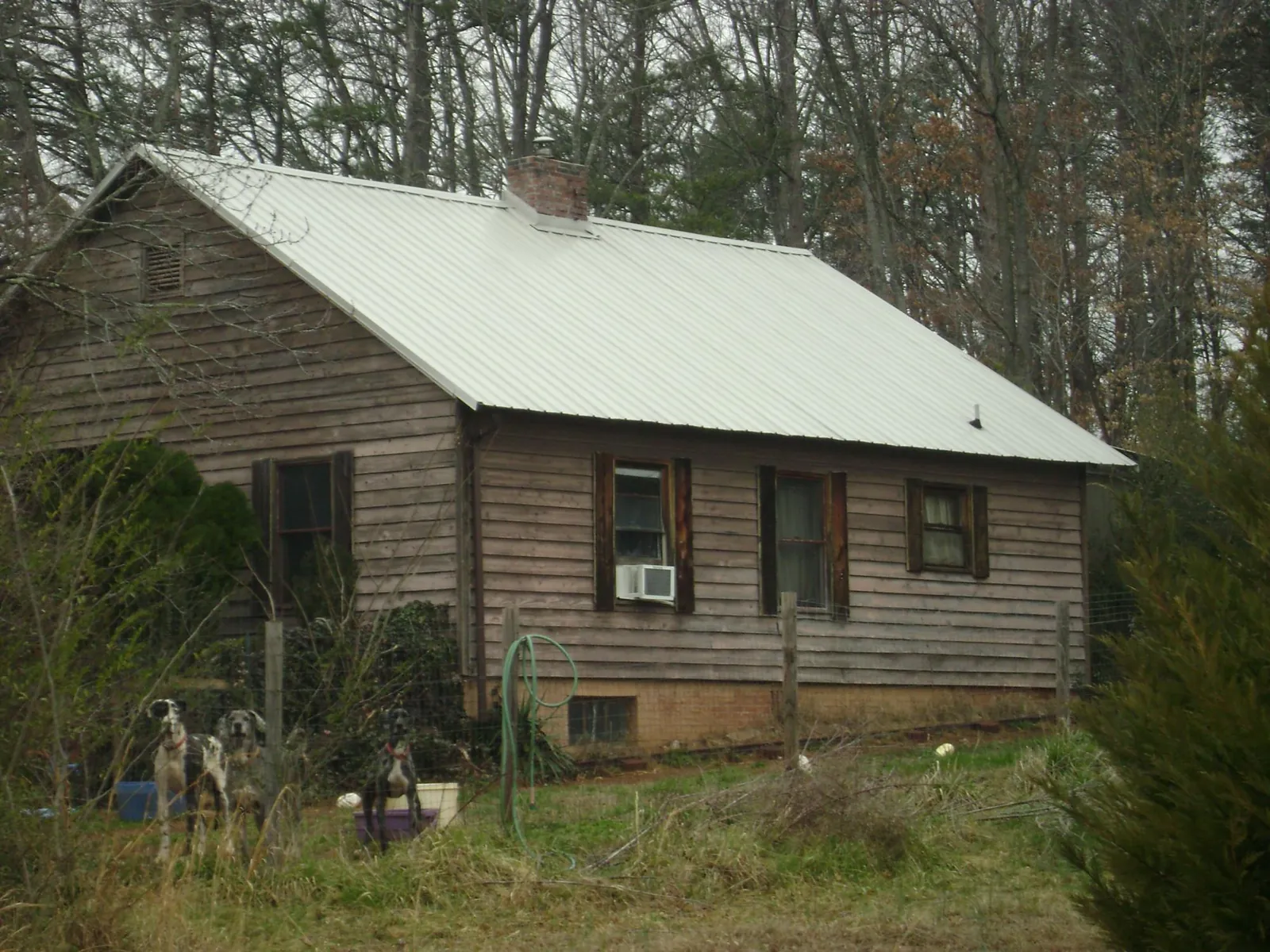 White metal roof on an old wood sided farmhouse, from a Asphalt Shingle Roof Repair job in Pleasant Shade